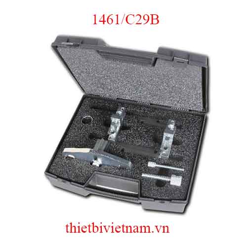 TIMING DEVICES FOR ENGINES BETA MODEL 1461/C29B