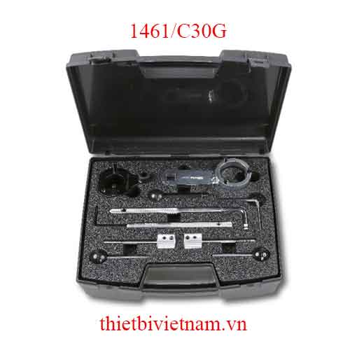 TIMING DEVICES FOR ENGINES BETA MODEL 1461/C30G