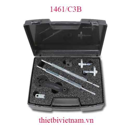 TIMING DEVICES FOR ENGINES BETA MODEL 1461/C3B