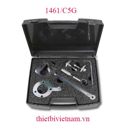 TIMING DEVICES FOR ENGINES BETA MODEL 1461/C5G