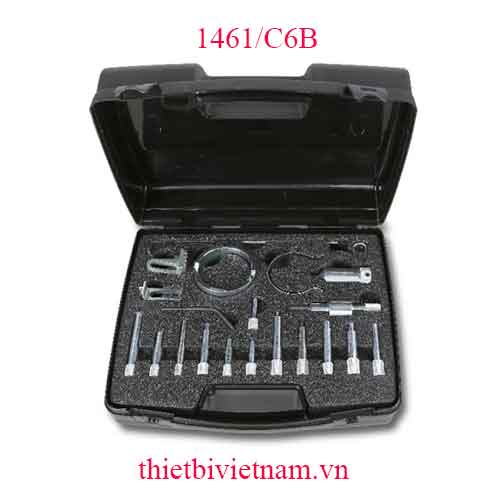 TIMING DEVICES FOR ENGINES BETA MODEL 1461/C6B