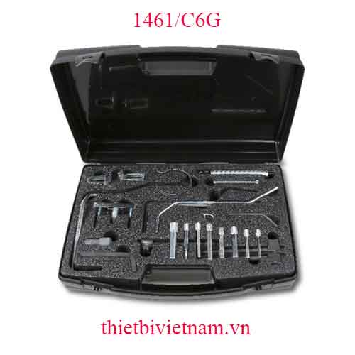 TIMING DEVICES FOR ENGINES BETA MODEL 1461/C6G