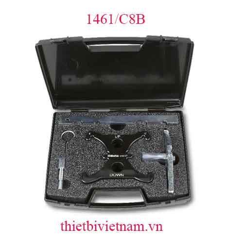 TIMING DEVICES FOR ENGINES BETA MODEL 1461/C8B