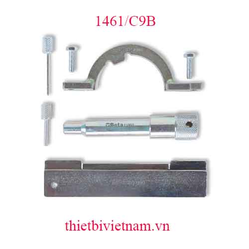 TIMING DEVICES FOR ENGINES BETA MODEL 1461/C9B