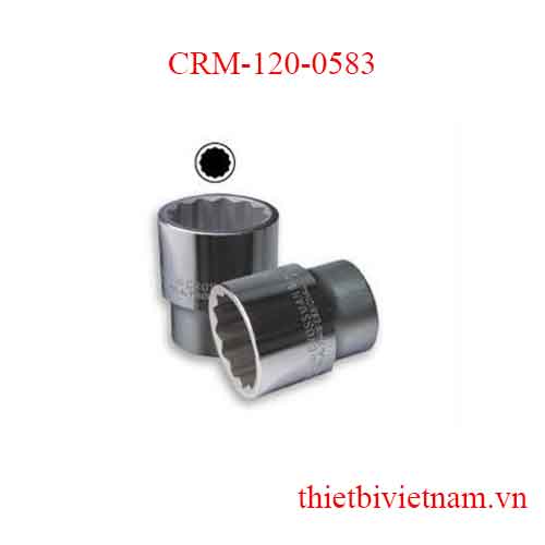 Típ lẻ 12 góc trắng 3/4 inch kích thước 35mm Crossman CRM-120-0583