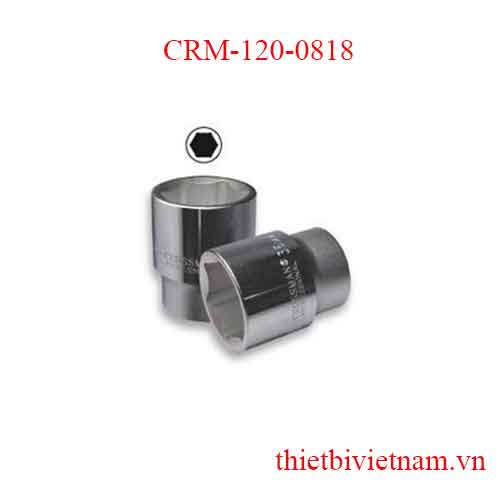 Típ lẻ 6 góc trắng 3/4 inch kích thước 41mm Crossman CRM-120-0818