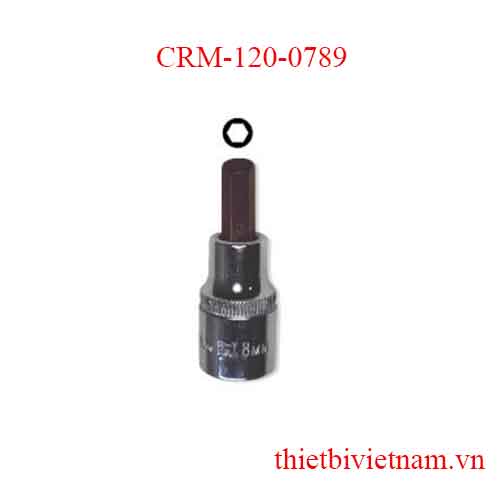 Típ lục giác 1/2 inch kích thước 10mm Crossman CRM-120-0789