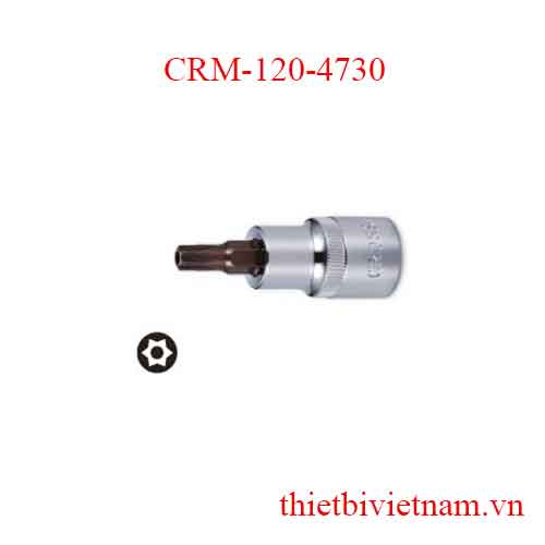 Típ lục giác 1/2 inch kích thước T30 Crossman CRM-120-4730