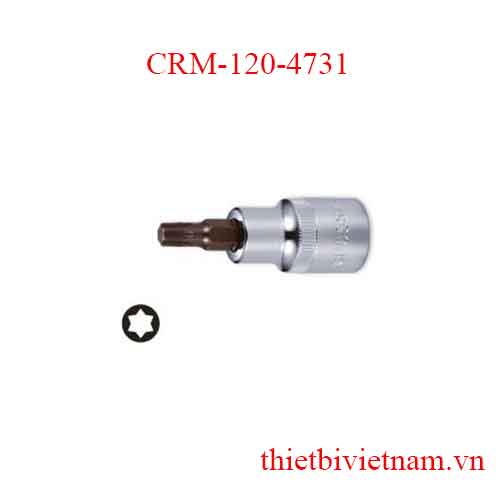 Típ lục giác 1/2 inch kích thước T30 Crossman CRM-120-4731