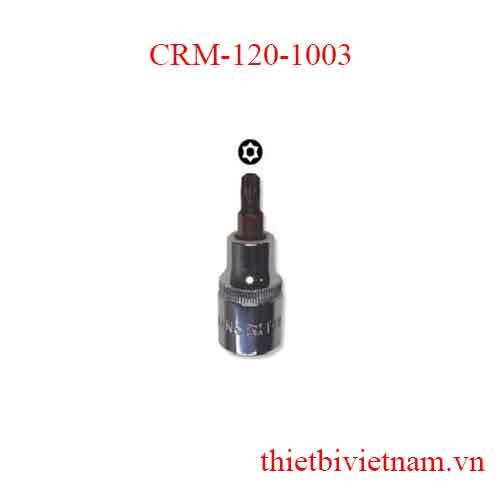 Típ lục giác 1/2 inch T kích thước T45 Crossman CRM-120-1003